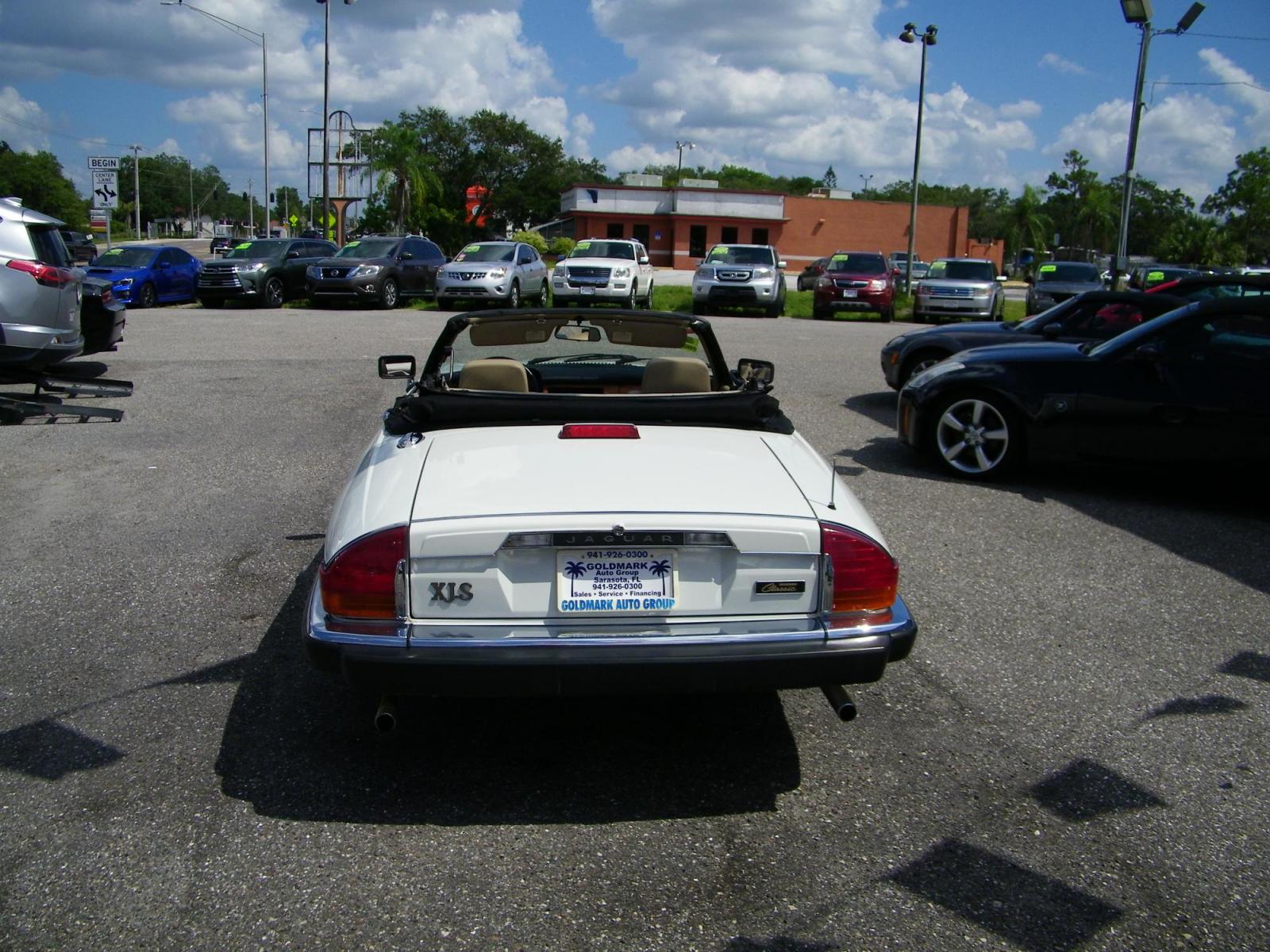 1990 White Jaguar XJS Convertible (SAJTW4843LC) with an 5.3L V12 SOHC 24V engine, 3-Speed Automatic transmission, located at 4000 Bee Ridge Road, Sarasota, FL, 34233, (941) 926-0300, 27.298664, -82.489151 - Photo #4