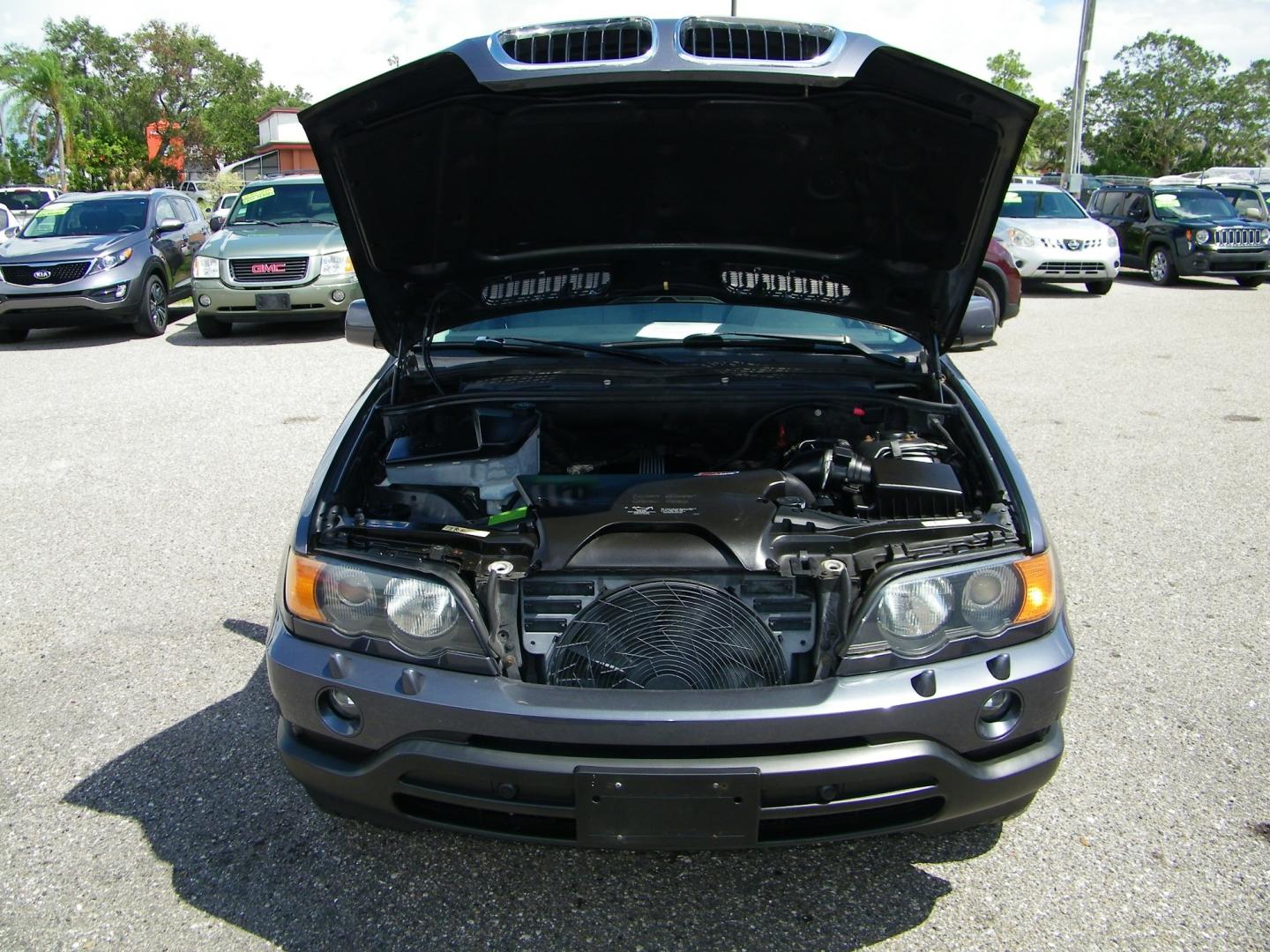 2003 Grey /Black BMW X5 3.0i (5UXFA53523L) with an 3.0L L6 DOHC 24V engine, Automatic transmission, located at 4000 Bee Ridge Road, Sarasota, FL, 34233, (941) 926-0300, 27.298664, -82.489151 - Photo#8