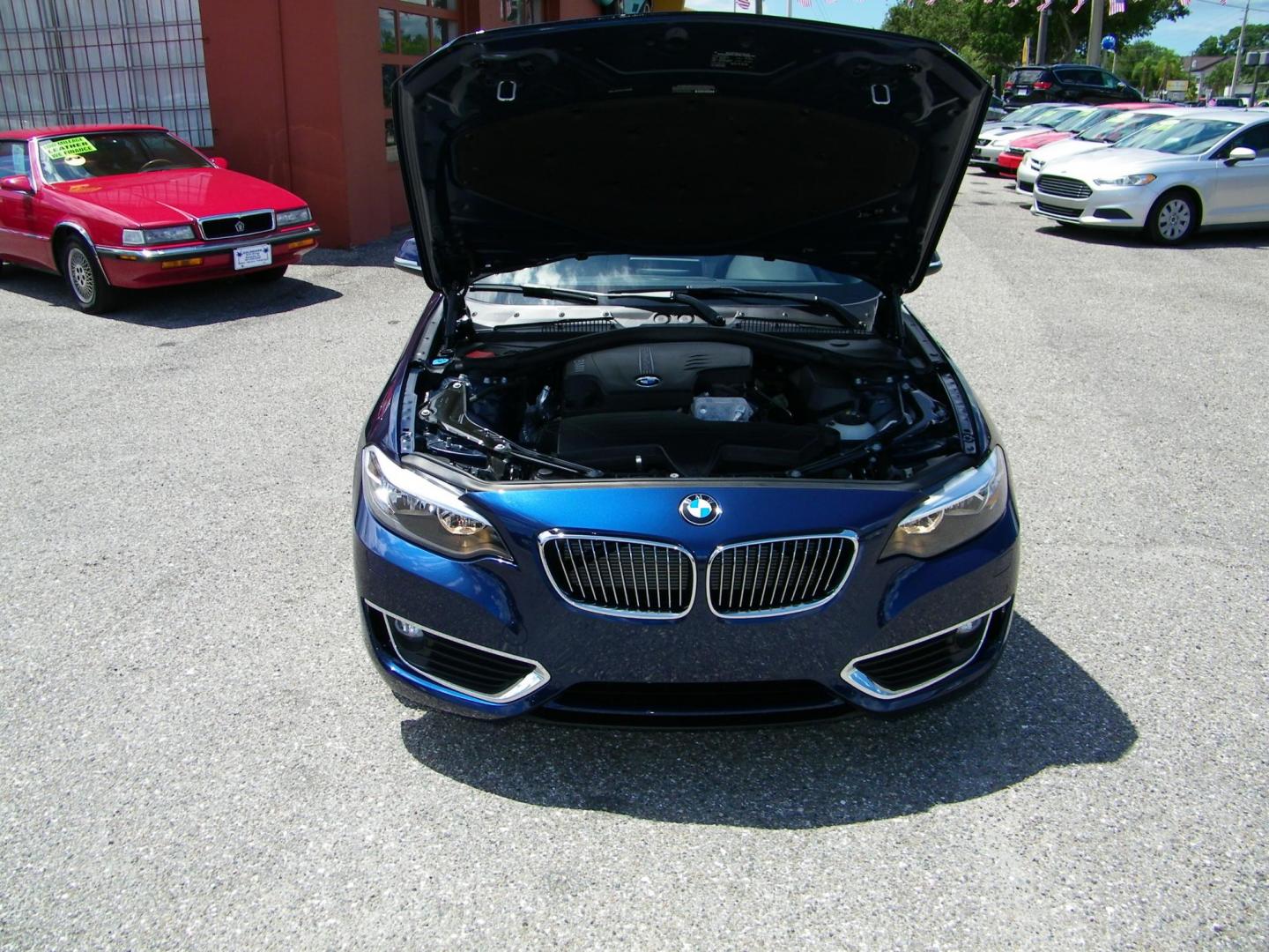 2016 /Beige BMW 2-Series 228i Convertible (WBA1K9C52GV) with an 2.0L L4 DOHC 16V engine, 8A transmission, located at 4000 Bee Ridge Road, Sarasota, FL, 34233, (941) 926-0300, 27.298664, -82.489151 - Photo#7