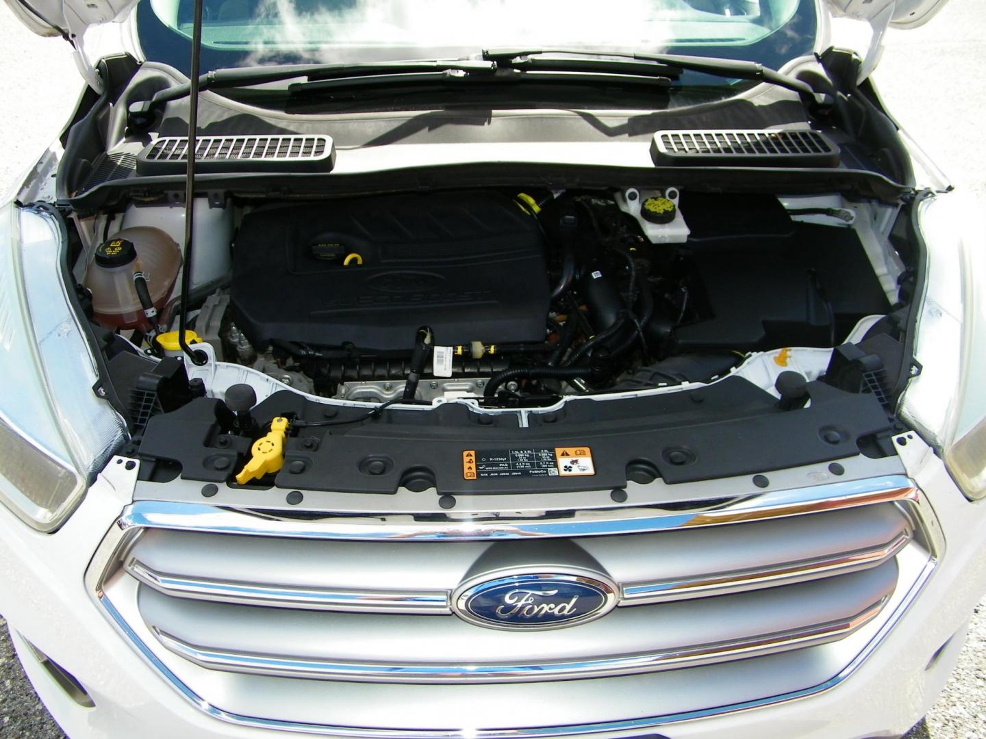 2017 /Grey Ford Escape SE FWD (1FMCU0GD0HU) with an 1.5L L4 DOHC 16V engine, 6A transmission, located at 4000 Bee Ridge Road, Sarasota, FL, 34233, (941) 926-0300, 27.298664, -82.489151 - Photo#8